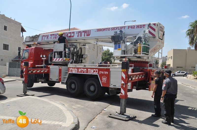 cat lud 910 (23).JPG